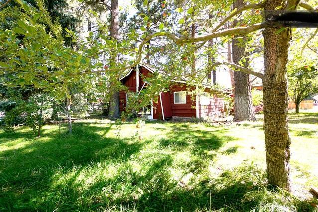 Green Cabin In Big Bear Lake 3 Bdr Pets Friendly Big Bear City Bagian luar foto